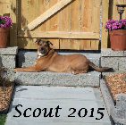 Scout Stegner .2015